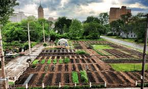 urban agriculture products