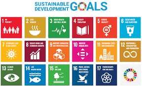 United Nations Sustainable Development Goals (SDGs): A Global Call to Action