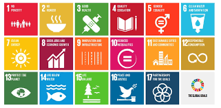 Embracing the UN Sustainable Development Goals for a Brighter Future