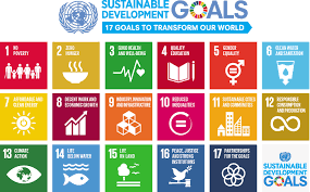 United Nations Sustainable Development Goals: Building a Better Future Together
