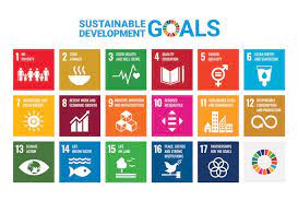 12 sustainable development goals