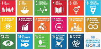 17 goals of the united nations