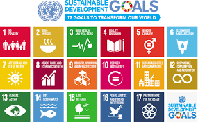 16 goals of sustainable development