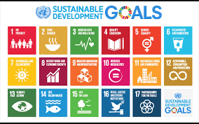 17 millennium development goals