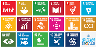 sdg program