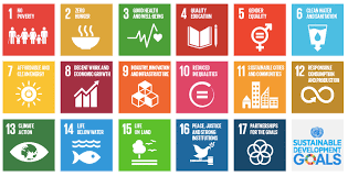 sustainable goals meaning