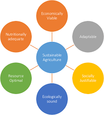 agriculture and sustainable development