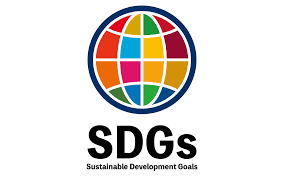 sdg organizations