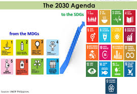 millennium and sustainable development goals