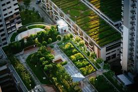 urban design and sustainability