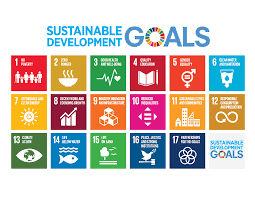 sdg development