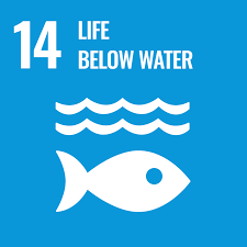 sdg of un