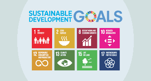 sdg sustainability