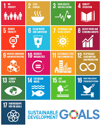 un strategic development goals