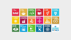 united nations development goals