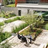 landscape planning