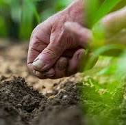 gardening