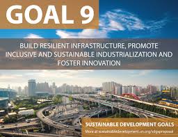 goal 9