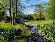 green areas
