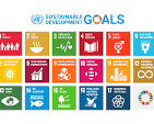 sustainability development