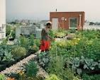 urban farming