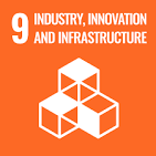 sustainable development goals 9