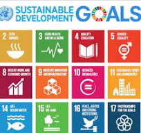 undp goals