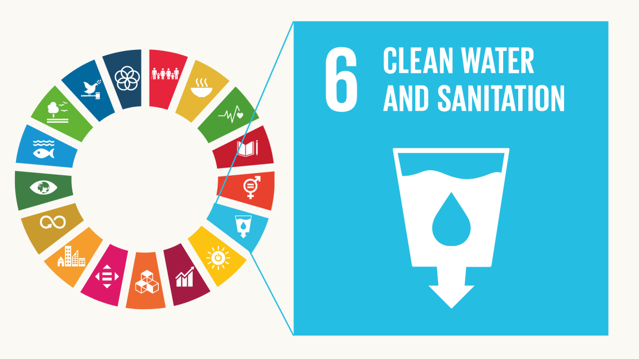 goal 6 sdg