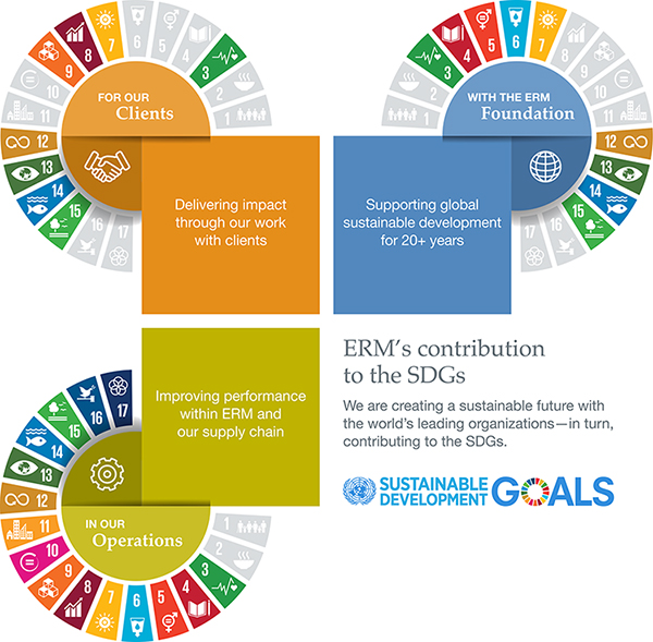 sdg targets and indicators