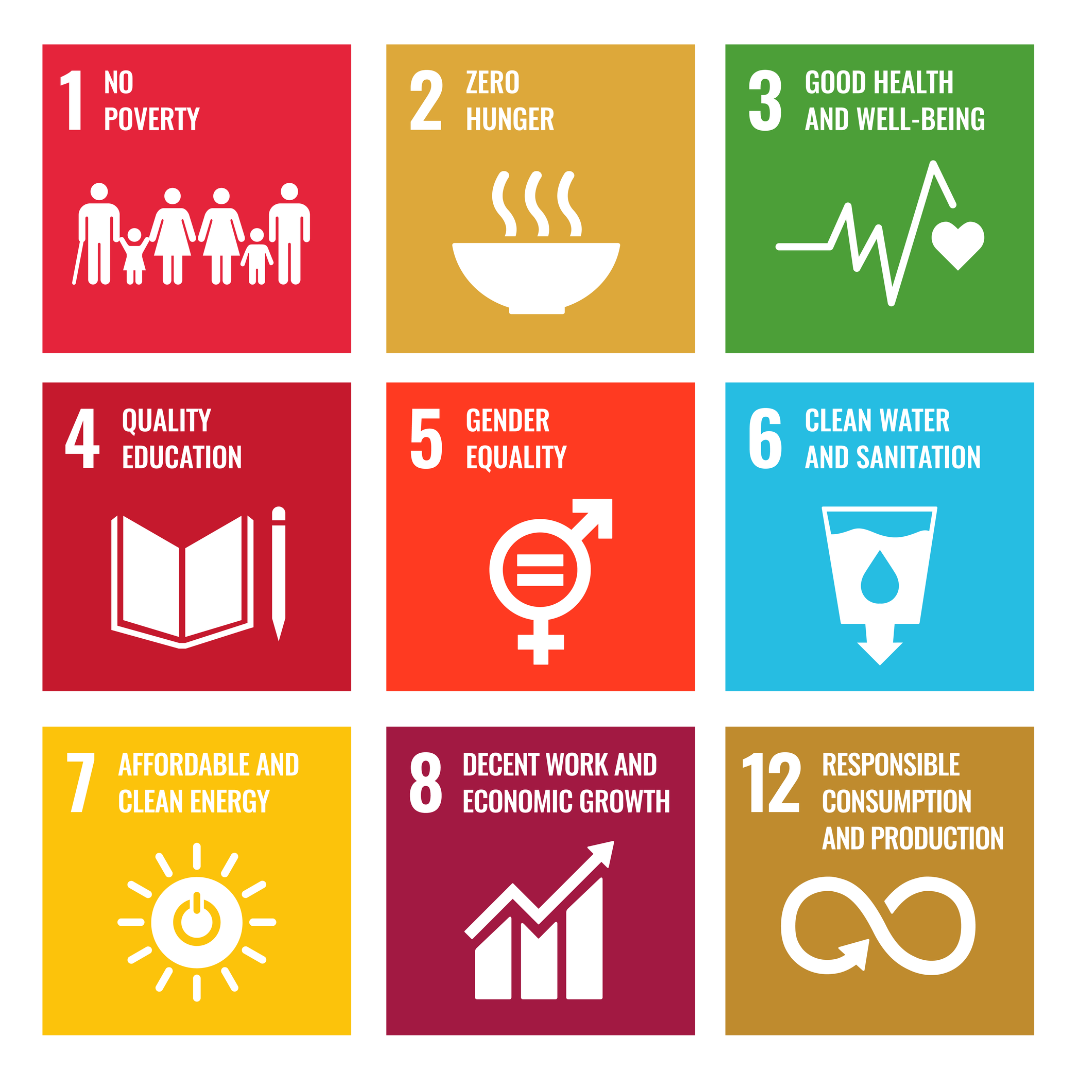 un sdg 8
