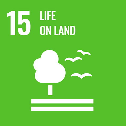 un 2015 sustainable development goals