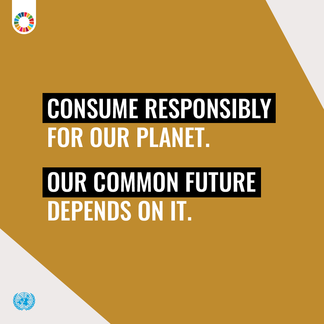 responsible consumption and production sdg