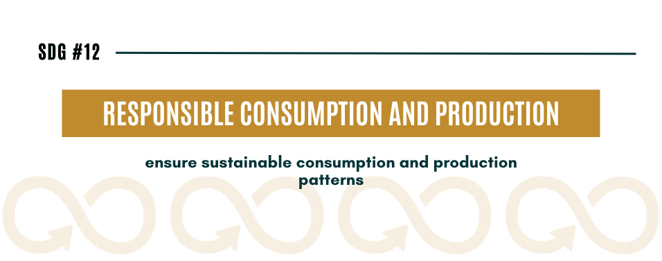 sdg 12 responsible consumption and production