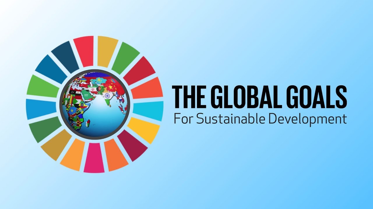 sdg goals targets and indicators