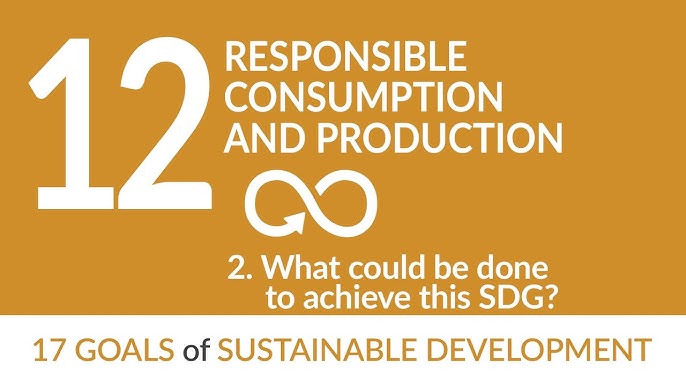 sdg goal 12