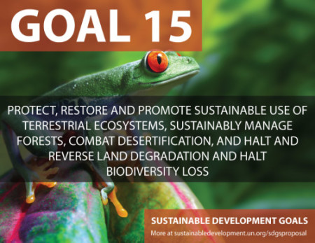sdg goal 15