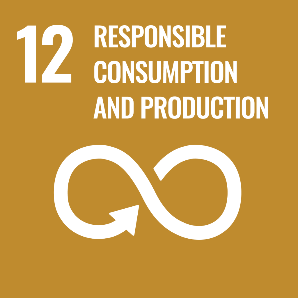 sdg responsible consumption and production