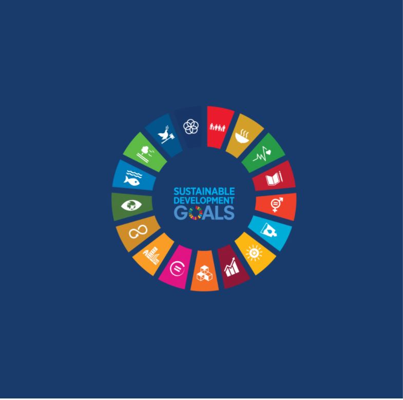 united nation sustainable goals