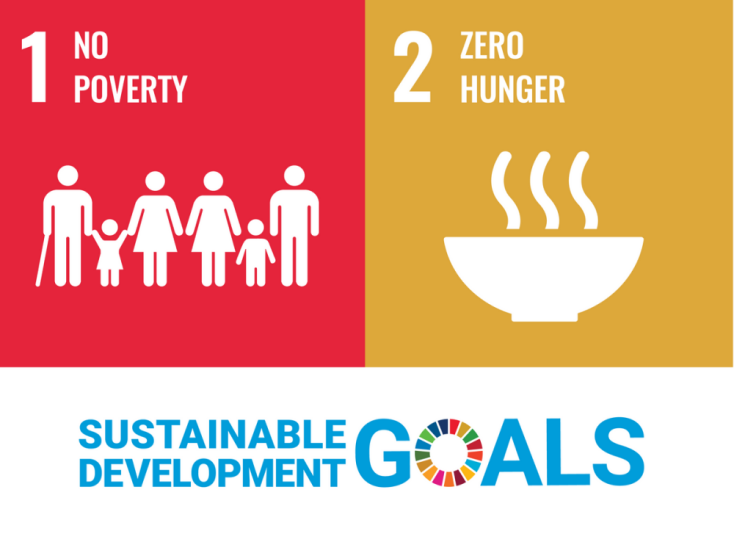 sdg poverty