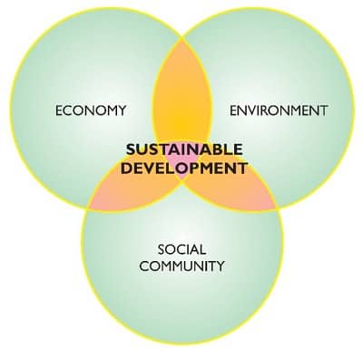 sustainable management meaning