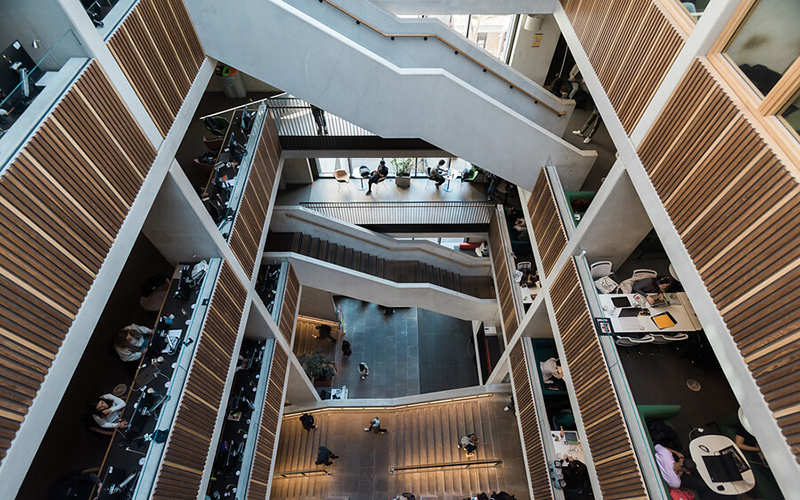 ucl environment and sustainable development