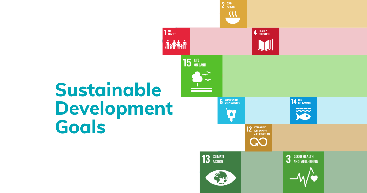sustainability 17 goals