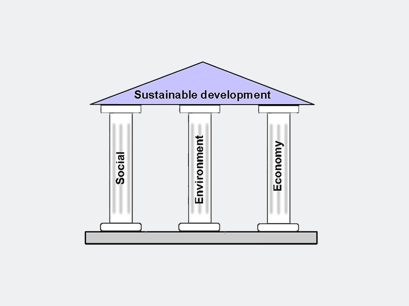 sustainable future meaning