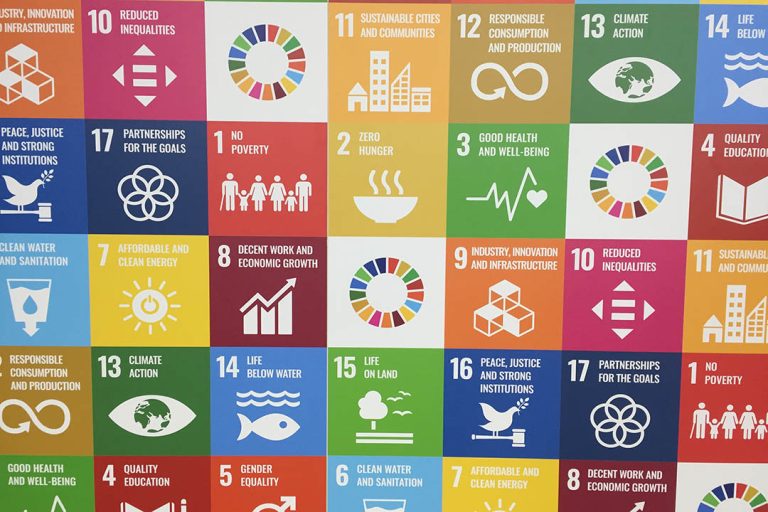 unsdg 8