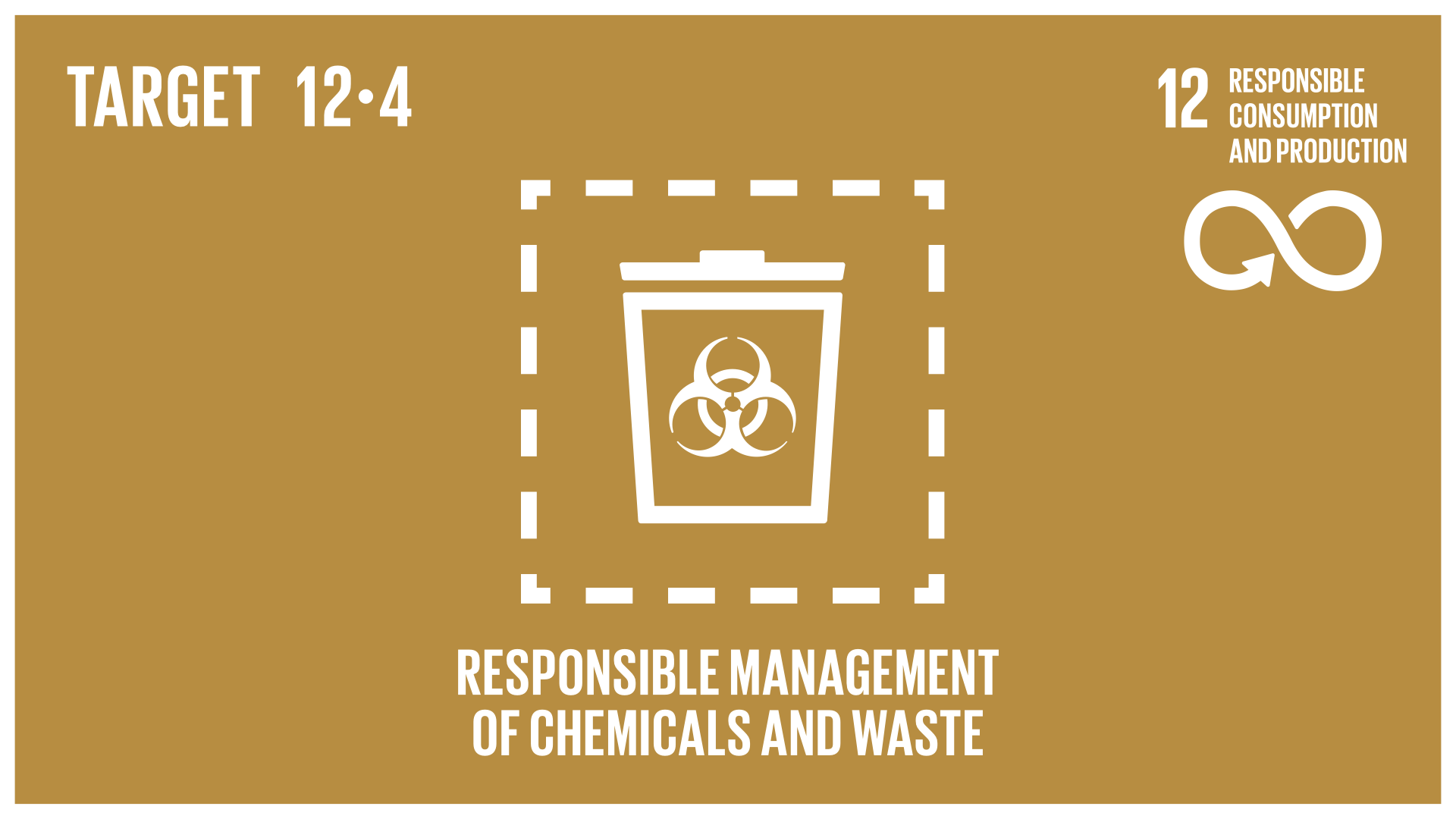 sdg 12 targets
