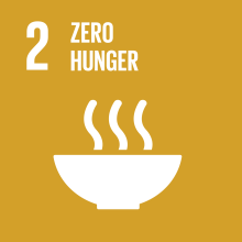 sdg human rights