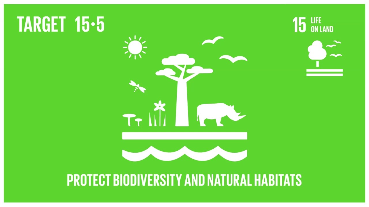 sustainable development goal 15