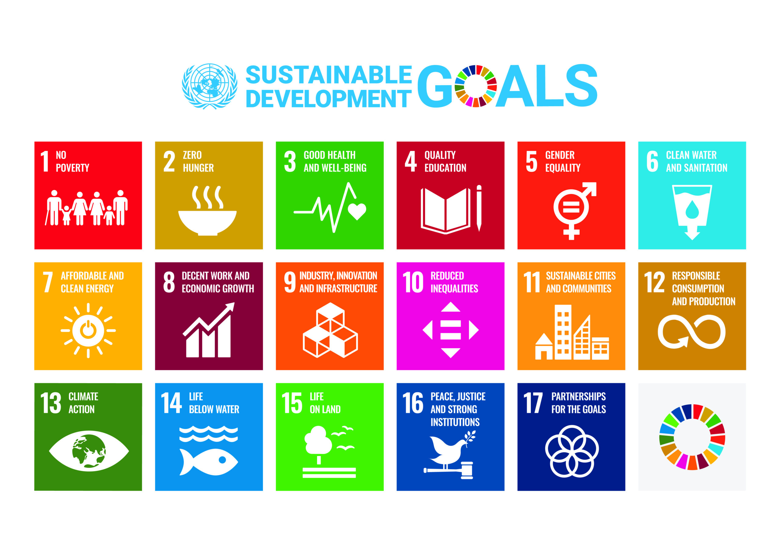 sustainable development foundation