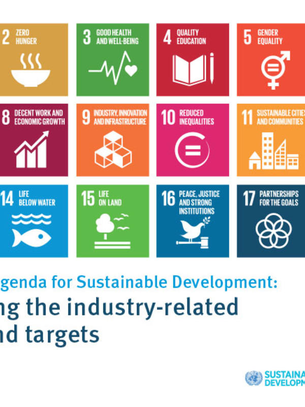 17 sdg goals