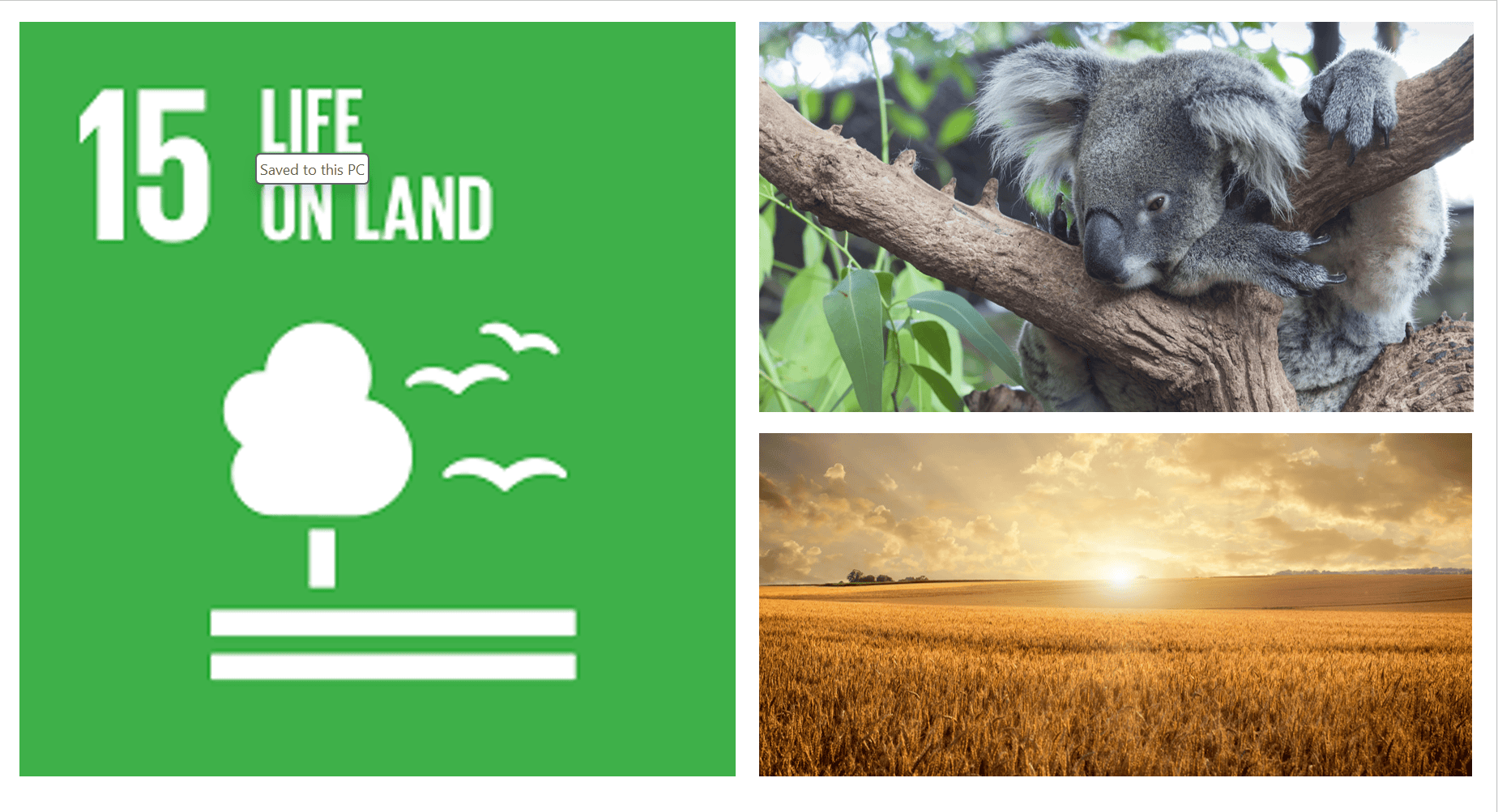sdg biodiversity